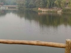 -淄博花灯齐彩城