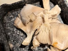 -哥老官重庆美蛙鱼头(五角场合生汇店)