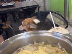 -同仁四季椰子鸡(宝安壹方城店)