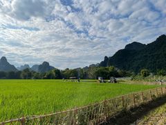 -明仕田园