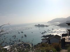 -枸杞岛