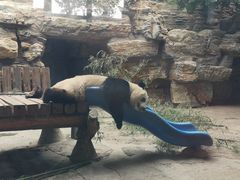 -石家庄市动物园