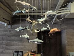 -無用生活空间(北京店)