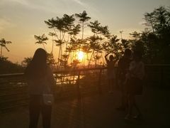 -深圳仙湖植物园-停车场