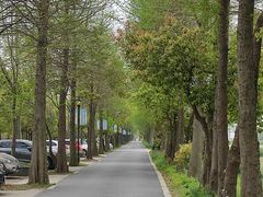 -锦江中华村农家乐饭庄
