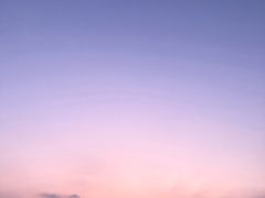 -北岐滩涂