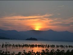 -盐洲岛