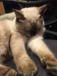 -隅日式美甲美睫專門店