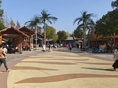 -上海野生动物园老虎餐厅