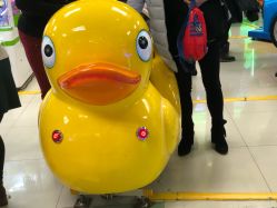 -莫莉幻想儿童乐园(绍兴金帝银泰城店)