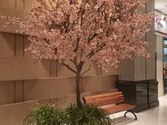 -上海大宁福朋喜来登酒店大堂吧(共和新路店)