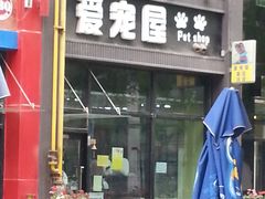 -爱宠屋pet shop·宠物洗澡·宠物美容