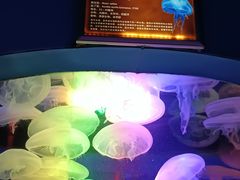 -中央电视塔旋转餐厅