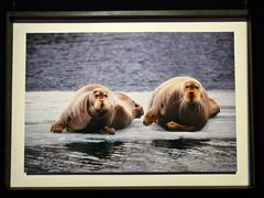 -罗红摄影艺术馆