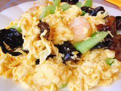 虾仁苜蓿炒黄瓜-羊上树(南门外店)