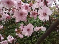 -江南大学(蠡湖校区)