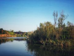 -白鹭湾湿地公园