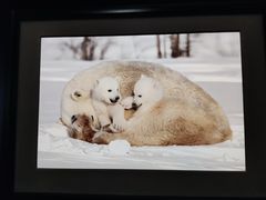 -罗红摄影艺术馆