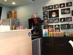 -藦茜花园宠物主题亲子互动体验馆(国顺东路店)