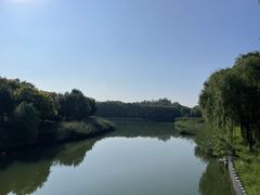 -大兴滨河森林公园