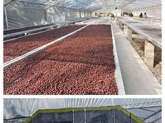 -Torch Coffee 炬点咖啡