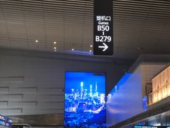-广州白云国际机场-T2航站楼