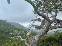 -亚龙湾热带天堂森林公园