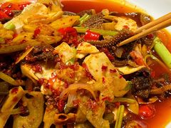 -铁公鸡·四川料理(天环广场店)