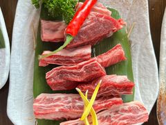 -道乐烧肉酒馆