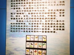 -上海昆虫博物馆