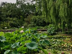 -国家植物园南园