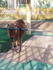 -萌宠亲子动物乐园(槐房万达店)