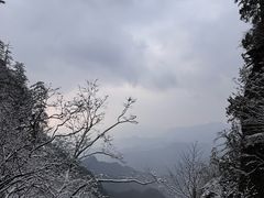 -塔云山