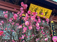 -灵顺寺