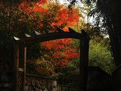 -深业半汤御泉庄温泉