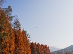 -塔川景区