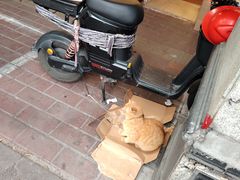 -芬芳甜品(同福路店)