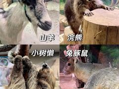 -正佳雨林生态植物园