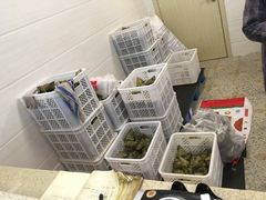 -璐坊粽王(复兴中路店)