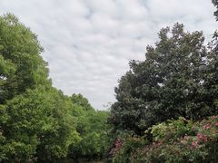 -成都南湖公园