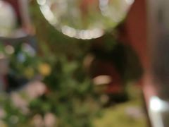 -7号院家宴.烧鸽子(门头沟店)