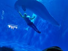 -多彩贵州城极地海洋世界