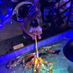 -未来动物城主题公园(正弘城店)