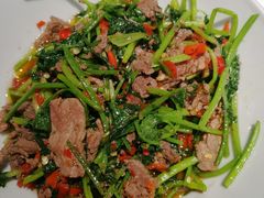 泡辣椒炒牛肉-壹盏灯(蚂蚁工房店)