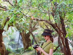 -Chom Cafe and Restaurant