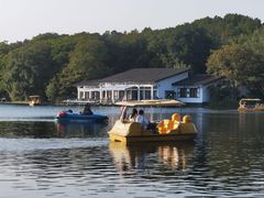 -上海共青森林公园