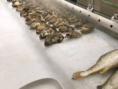 -西贝海鲜汇(槐安路店)