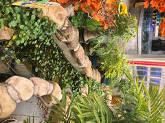 -后湖小院·乡野田园菜