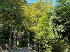 -莫干山风景区
