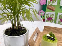 -蒲公英(象山北路店)